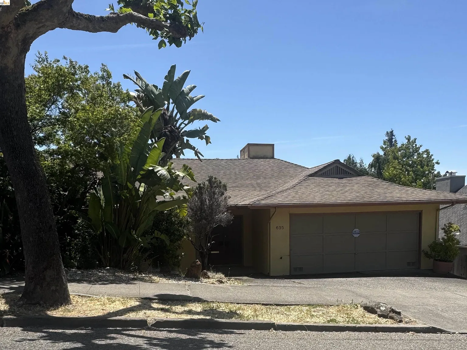 Street approach to 635 Longridge, a 1960 single-story home with attached two-car garage set back behind a mature banana plant and tree-shaded driveway